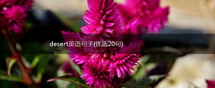 desert英语句子(优选20句),第1张