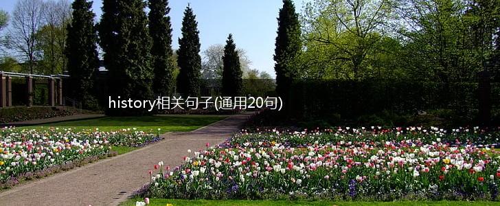 history相关句子(通用20句),第1张