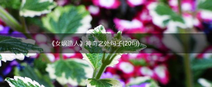 《女娲造人》神奇之处句子(20句),第1张