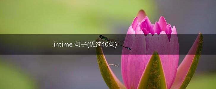intime 句子(优选40句),第1张
