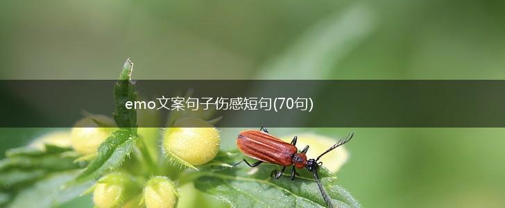 emo文案句子伤感短句(70句),第1张
