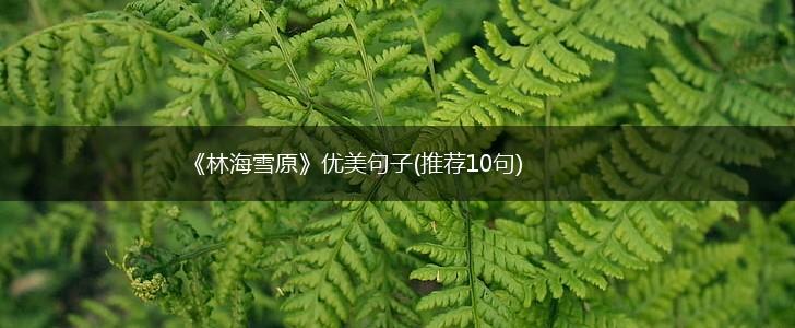 《林海雪原》优美句子(推荐10句),第1张