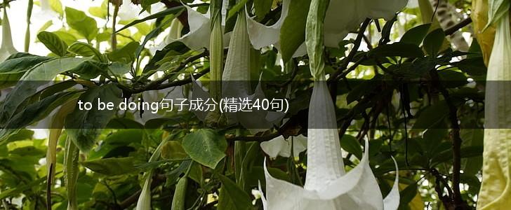 to be doing句子成分(精选40句),第1张