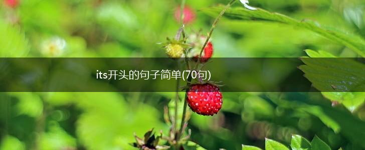 its开头的句子简单(70句),第1张