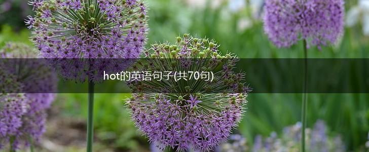 hot的英语句子(共70句),第1张