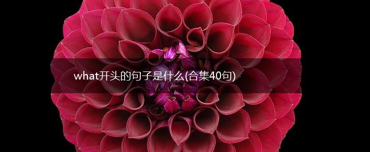 what开头的句子是什么(合集40句),第1张