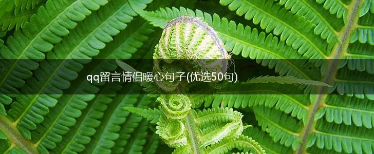 qq留言情侣暖心句子(优选50句),第1张