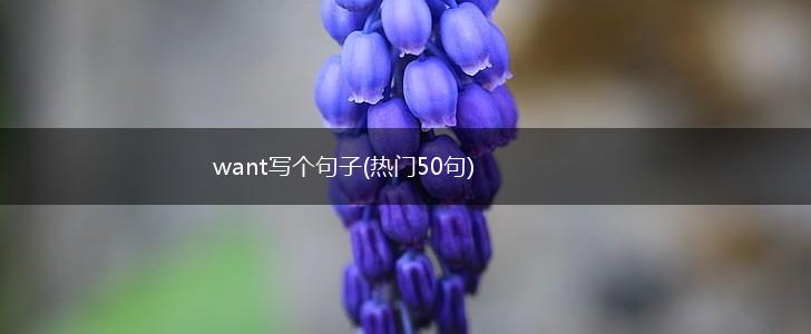 want写个句子(热门50句),第1张