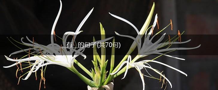 __有__的句子(共70句),第1张