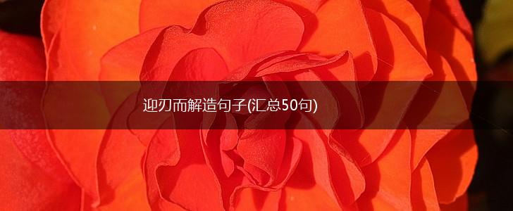 迎刃而解造句子(汇总50句),第1张