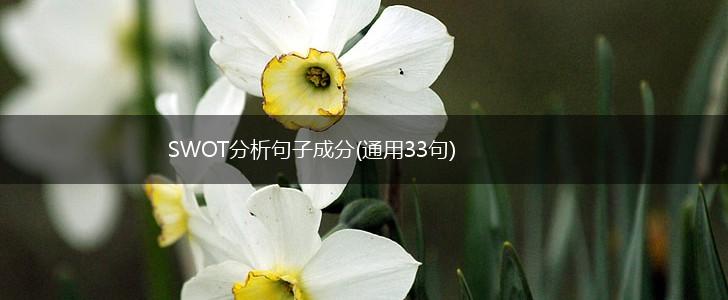 SWOT分析句子成分(通用33句),第1张