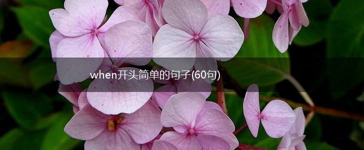 when开头简单的句子(60句),第1张