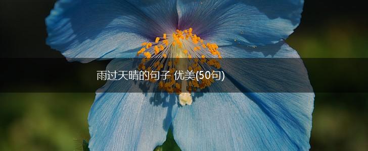 雨过天晴的句子 优美(50句),第1张