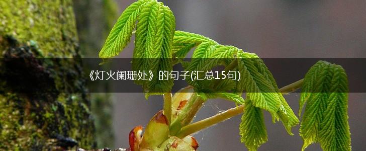 《灯火阑珊处》的句子(汇总15句),第1张