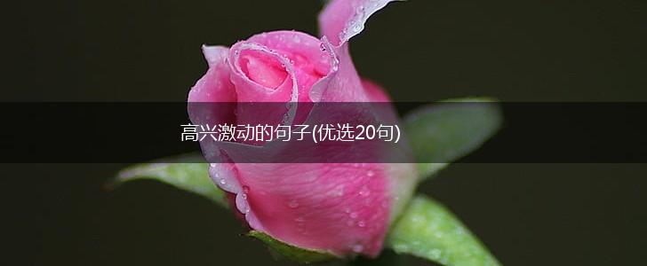 高兴激动的句子(优选20句),第1张