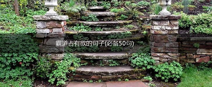 霸道占有欲的句子(必备50句),第1张