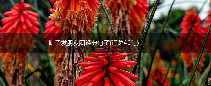 鞋子发朋友圈经典句子(汇总40句),第1张