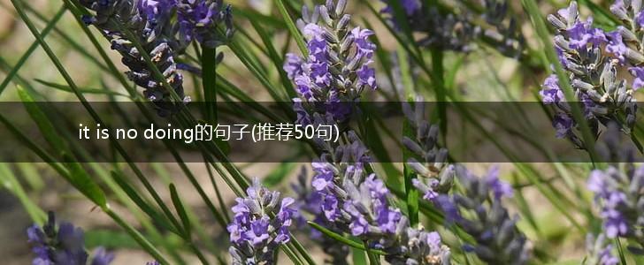 it is no doing的句子(推荐50句),第1张