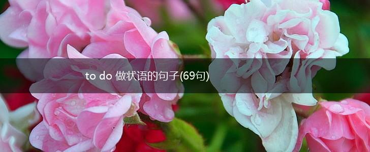 to do 做状语的句子(69句),第1张