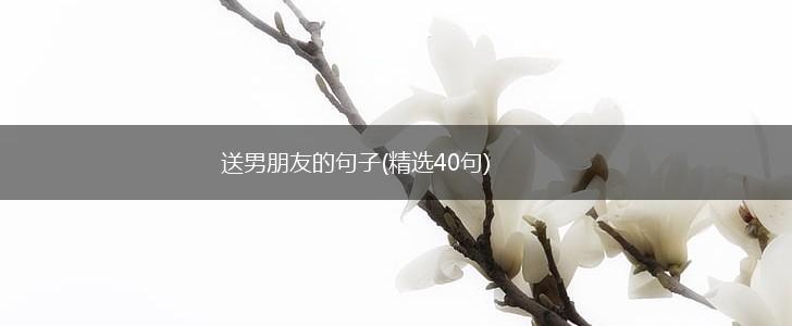 送男朋友的句子(精选40句),第1张