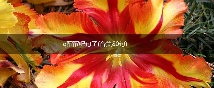 q醒醒吧句子(合集80句),第1张