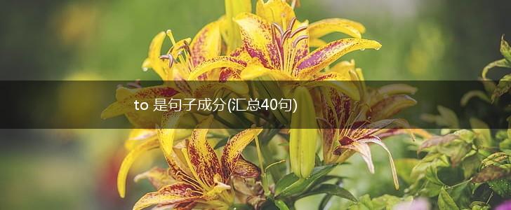 to 是句子成分(汇总40句),第1张