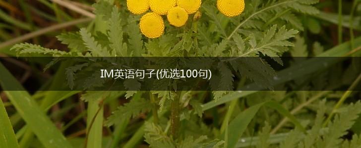 IM英语句子(优选100句),第1张
