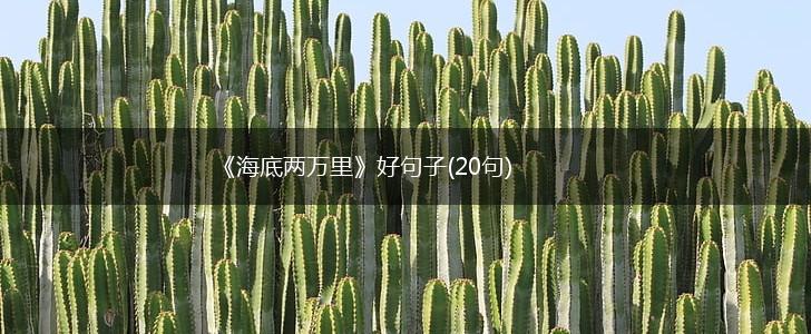 《海底两万里》好句子(20句),第1张