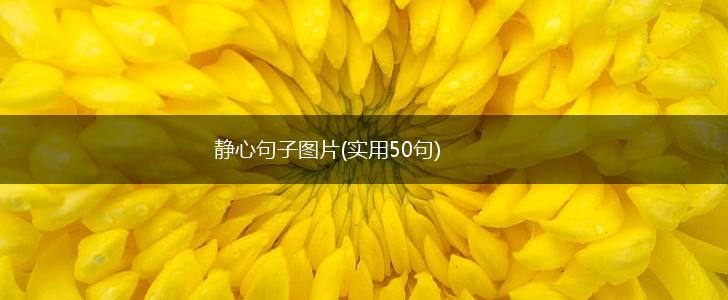 静心句子图片(实用50句),第1张