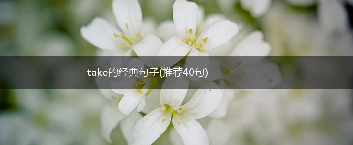 take的经典句子(推荐40句),第1张