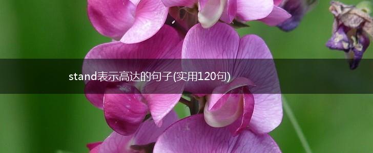stand表示高达的句子(实用120句),第1张