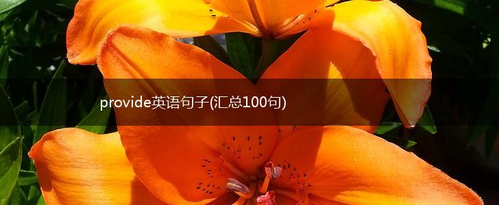 provide英语句子(汇总100句),第1张