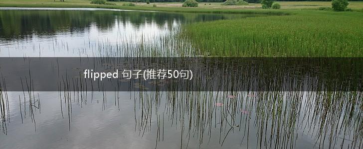 flipped 句子(推荐50句),第1张