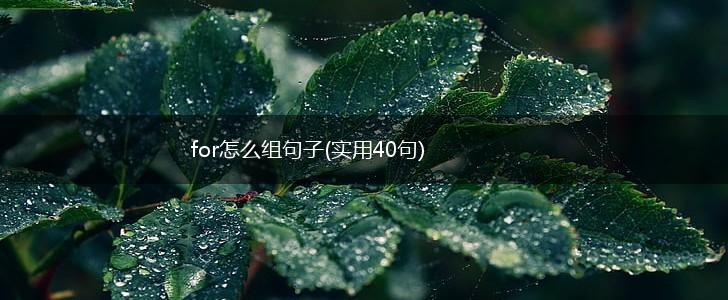 for怎么组句子(实用40句),第1张