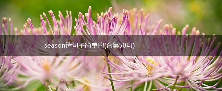 season造句子简单的(合集50句),第1张