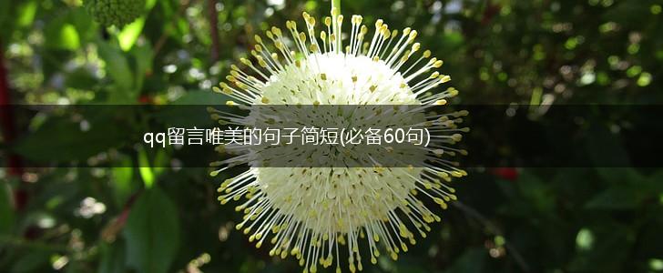 qq留言唯美的句子简短(必备60句),第1张