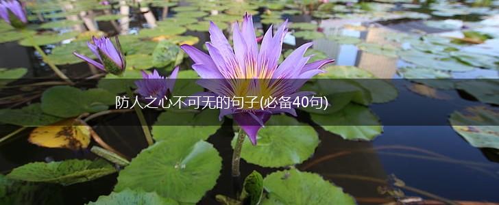 防人之心不可无的句子(必备40句),第1张