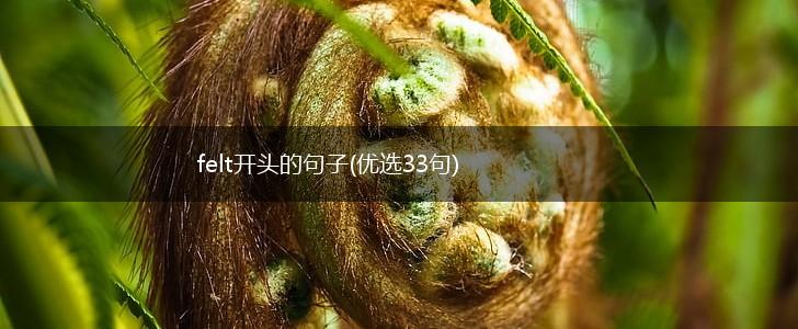 felt开头的句子(优选33句),第1张