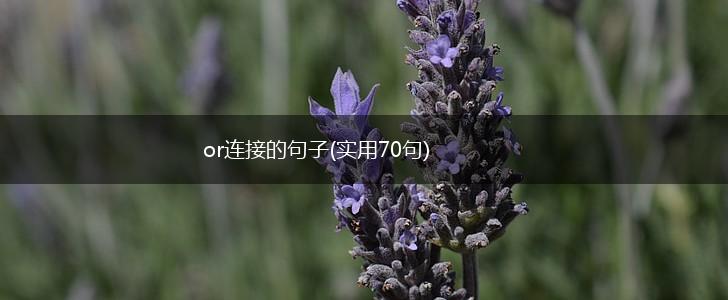 or连接的句子(实用70句),第1张