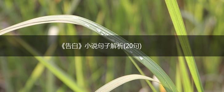 《告白》小说句子解析(20句),第1张