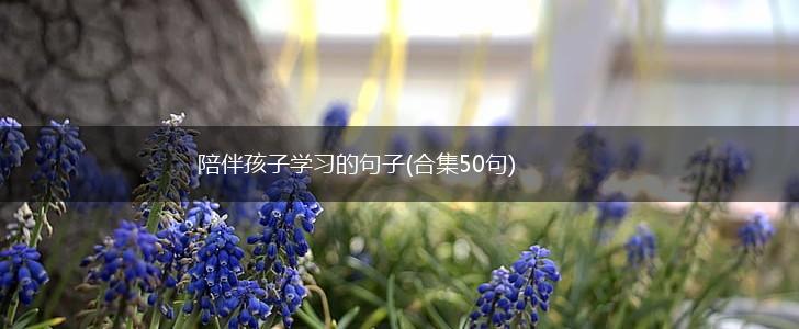 陪伴孩子学习的句子(合集50句),第1张