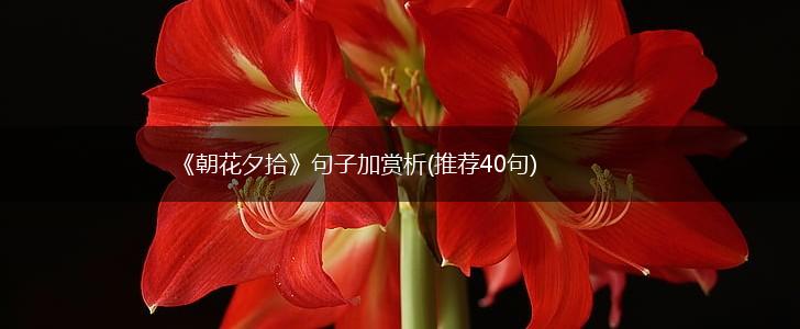 《朝花夕拾》句子加赏析(推荐40句),第1张