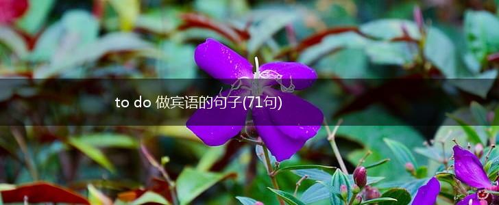 to do 做宾语的句子(71句),第1张