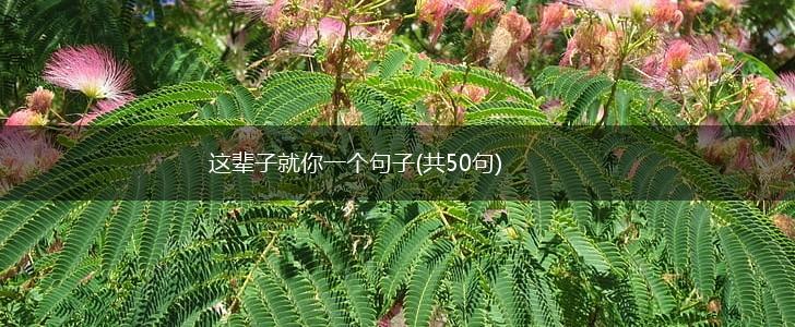 这辈子就你一个句子(共50句),第1张