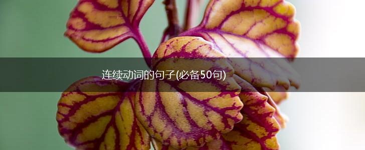 连续动词的句子(必备50句),第1张