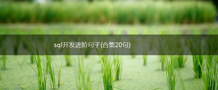 sql开发进阶句子(合集20句),第1张