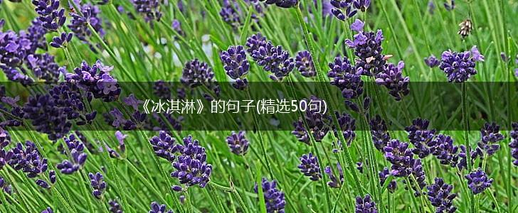 《冰淇淋》的句子(精选50句),第1张