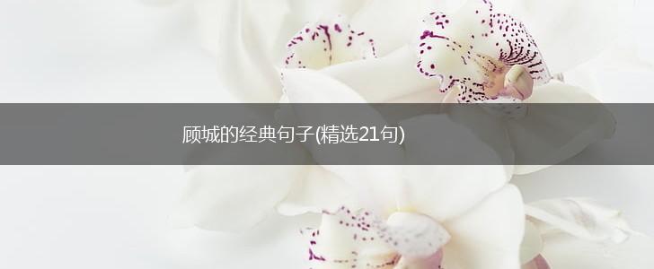 顾城的经典句子(精选21句),第1张