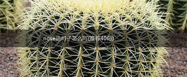 nose造句子怎么写(推荐40句),第1张