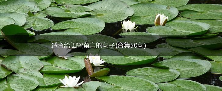 适合给闺蜜留言的句子(合集50句),第1张